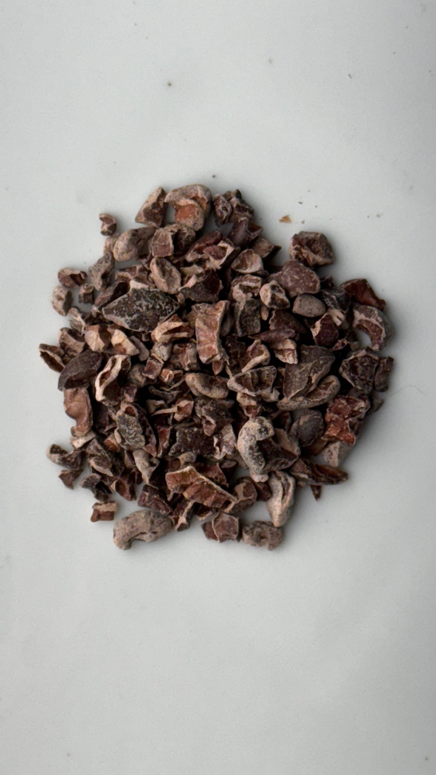 Cacao Nibs