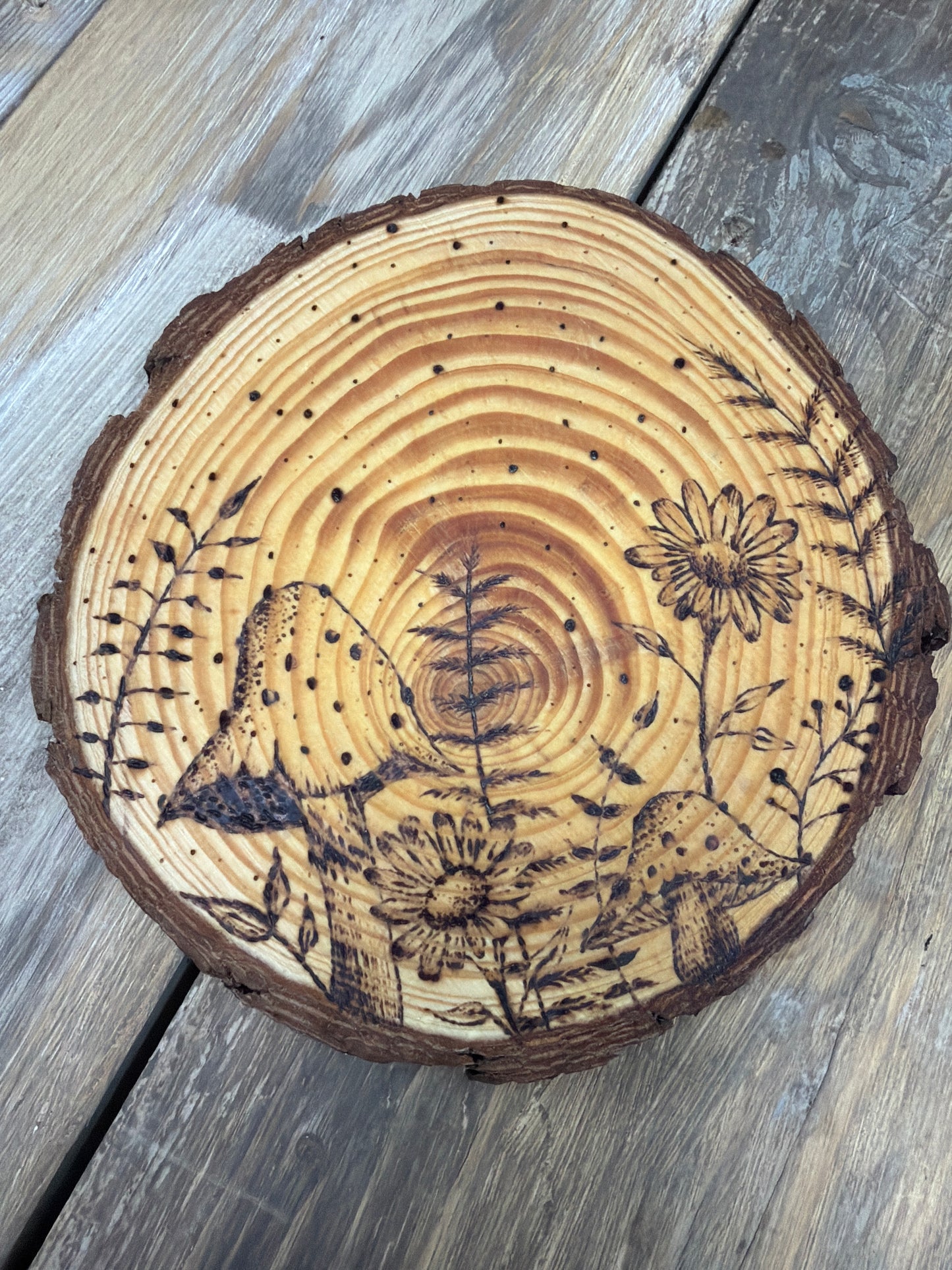 Mushroom Wood Slice