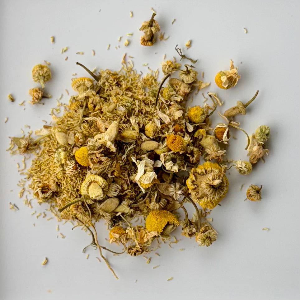 Chamomile (German)