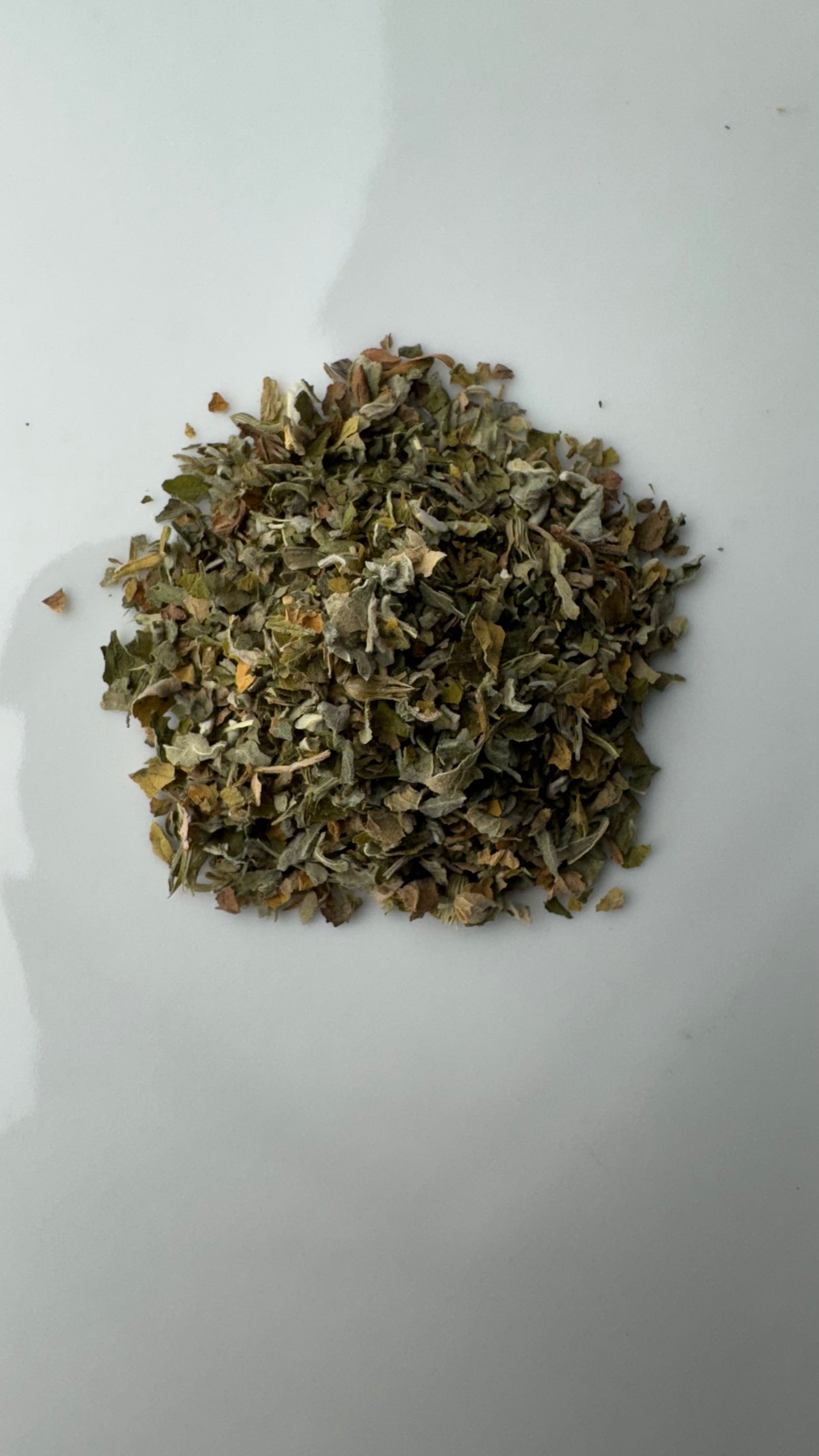 Catnip