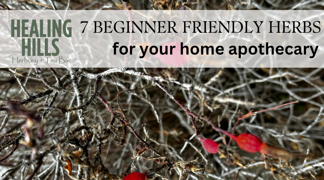 7 Must-Have Herbs for Your Home Apothecary: A Beginner’s Guide