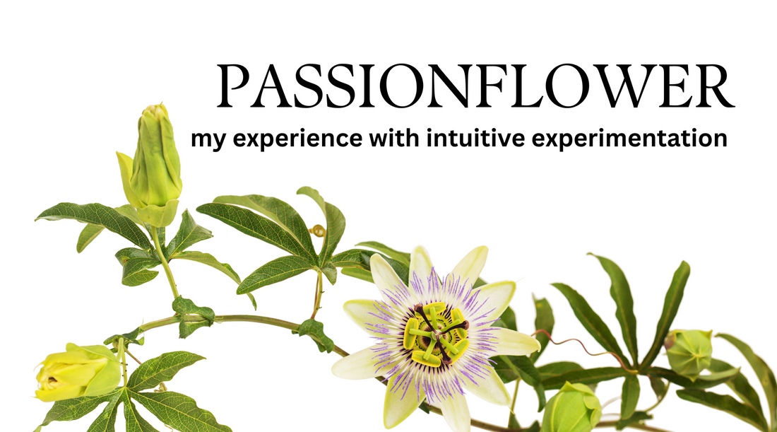 My Surprising Encounter with Passionflower