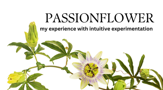 My Surprising Encounter with Passionflower