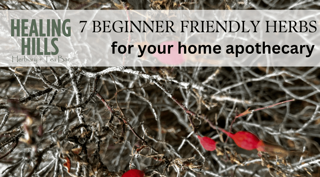 7 Must-Have Herbs for Your Home Apothecary: A Beginner’s Guide