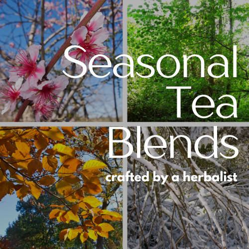 Seasonal Tea Blends