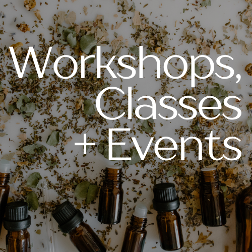 Workshops,  Classes + Events