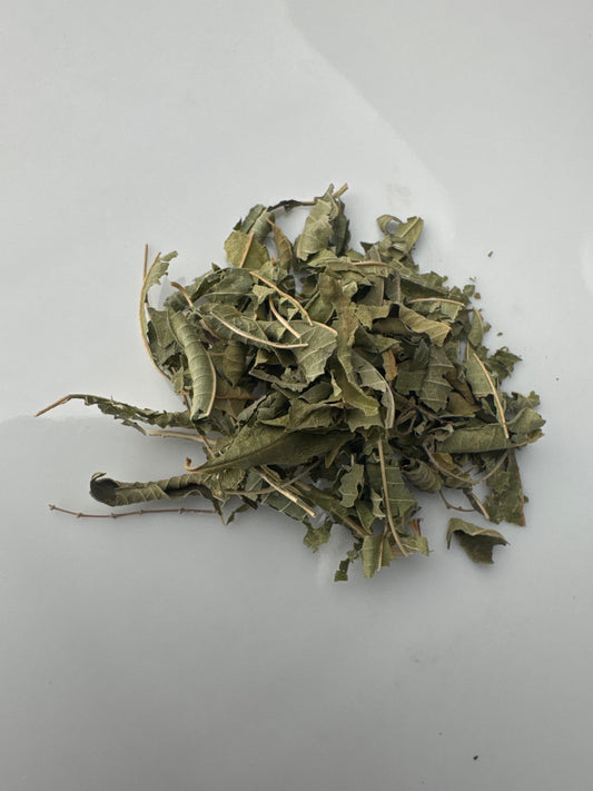 Lemon Verbena