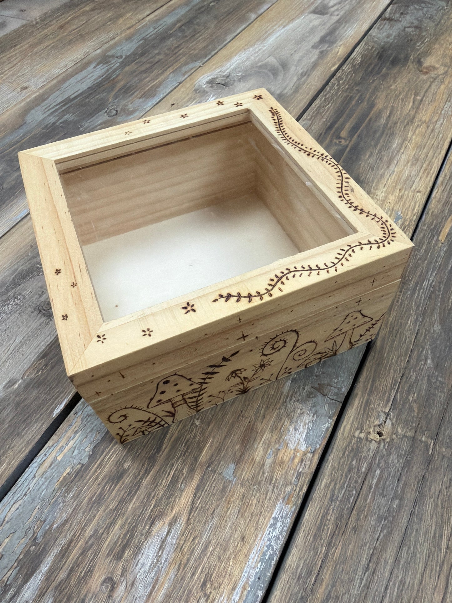 Mushroom Box Clear Window