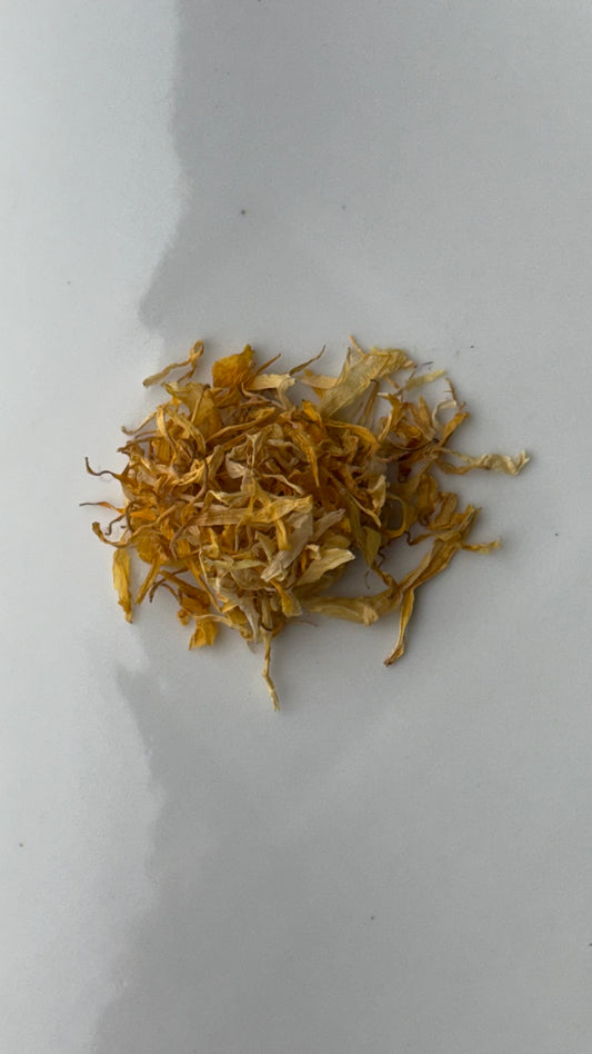 Calendula