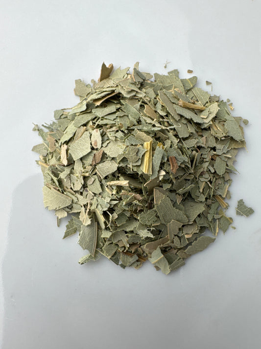 Eucalyptus Leaves, Cut