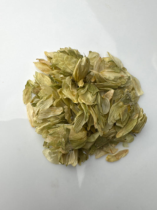 Hops Flower