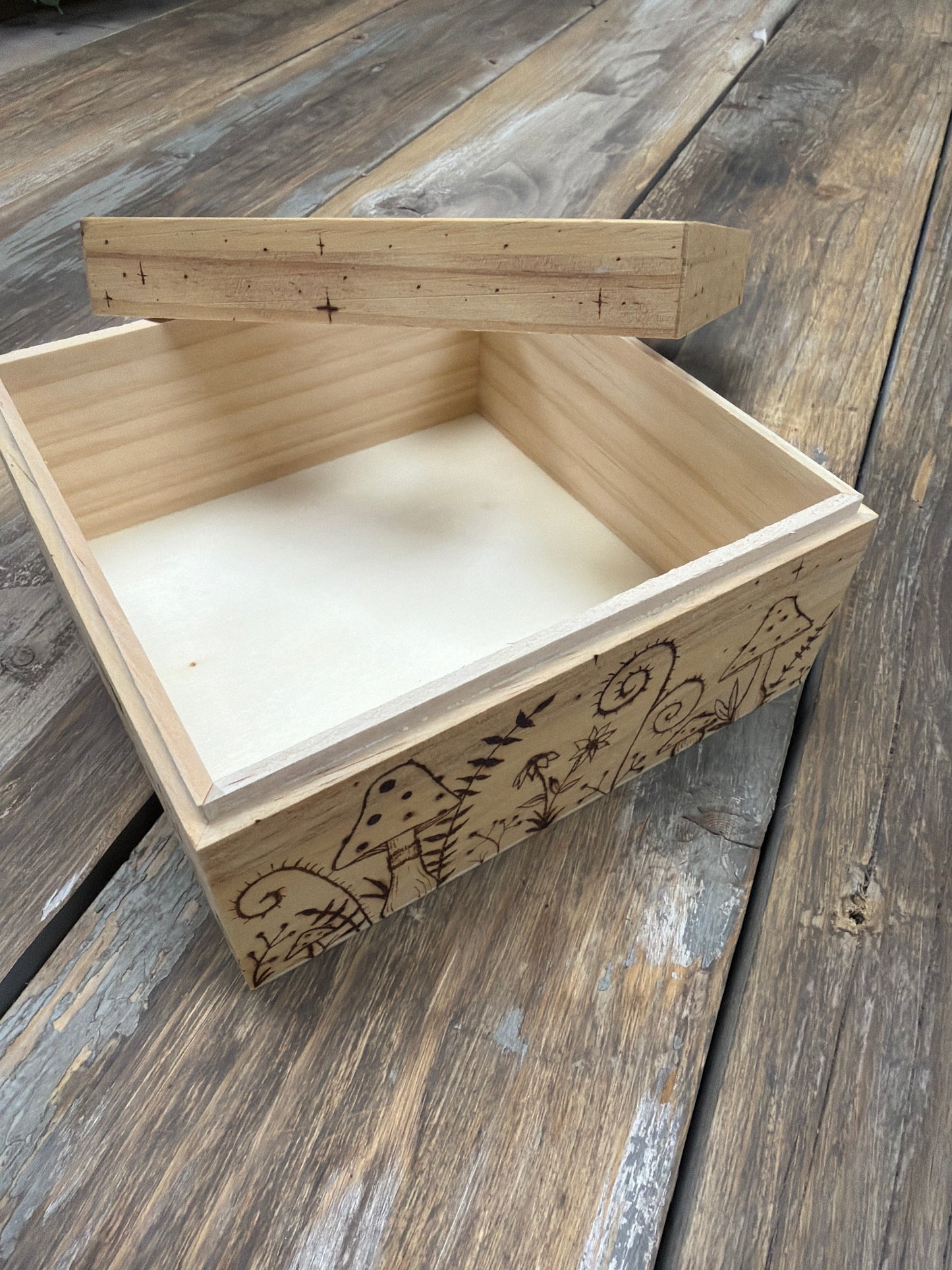 Mushroom Box Clear Window