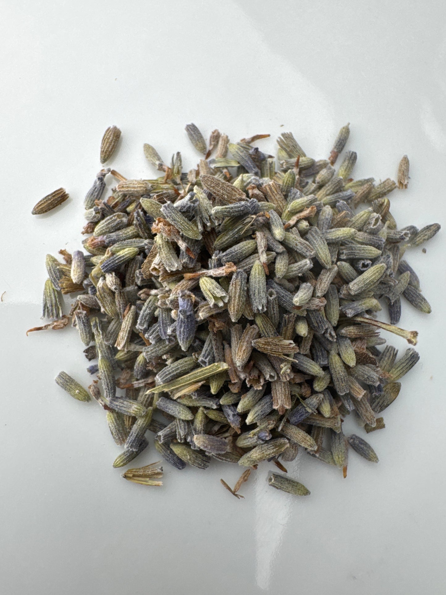 Lavender Flower Whole