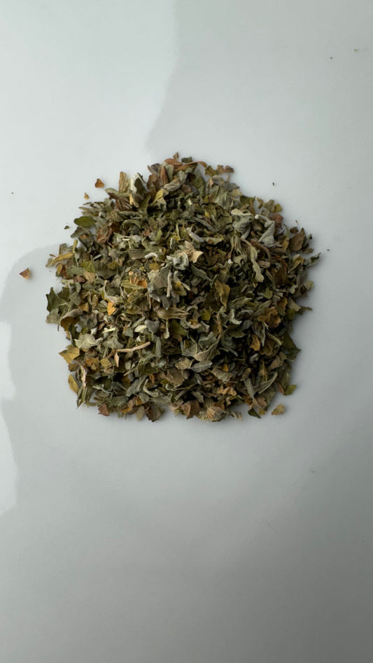 Catnip