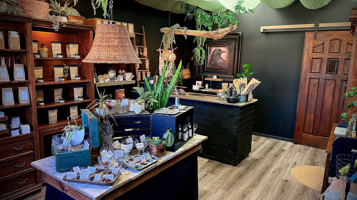 A rustic, cozy shop interior featuring dark wood shelving stocked with packaged goods, a black counter with plants and bottles, a wicker pendant lamp, and a wooden sliding door in the background.