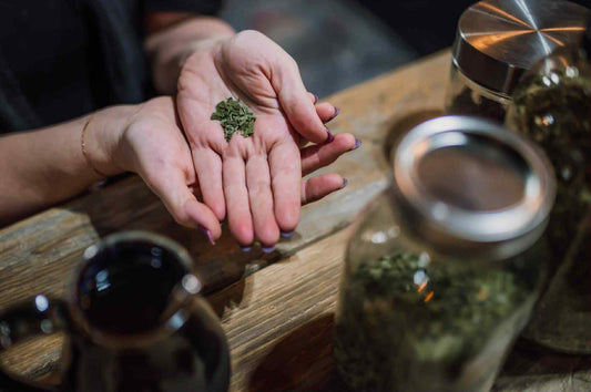 Person holding a small amount of green herbs in their palm on a wooden surface with jars and a teapot. custom tea blending Alberta, herbal tea consultation, Bentley Alberta herbalist, Healing Hills Herbals, personalized tea blend, intuitive herbalism, Central Alberta, Rimbey, Sylvan Lake, Red Deer, Ponoka, Lacombe, Eckville, Edmonton.