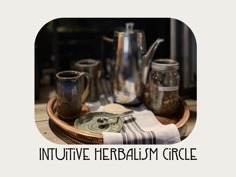 Intuitive Herbalism Circle
