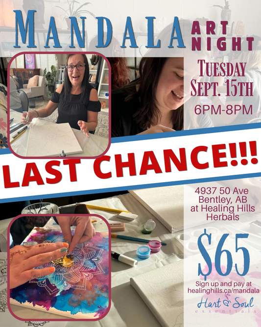 Mandala Art Night