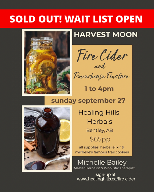 Fire Cider and Powerhouse Tincture Workshop